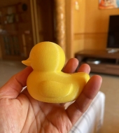 3D打印论坛下载的大黄鸭作品